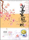皇家宠媳日常