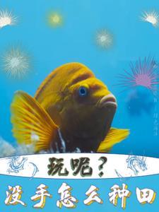 变成宠物的小动物会奖励什么