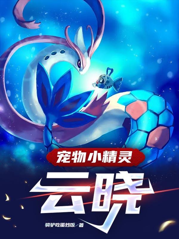 宠物小精灵x