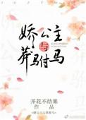 娇公主与莽驸马正版圆房