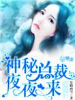神秘总裁夜夜宠免费阅读