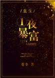 一夜暴富完本