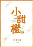 小甜橙txt百度