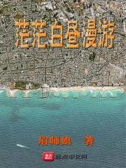 茫茫白昼漫游TXT免费