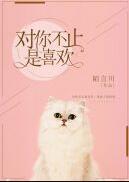 对你不止是喜欢全文阅读