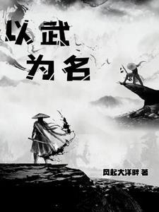 以武为名字的将军