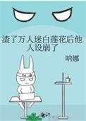 渣了万人迷反派后他崩坏了