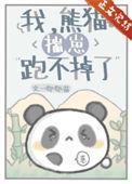 我熊猫揣崽跑不掉了