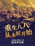 重生从木匠工人到家居大亨