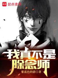猎人我真不是除念师有女主吗