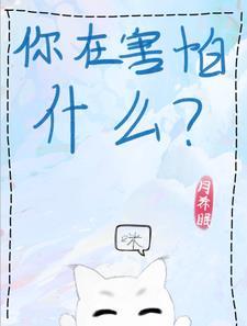 小猫咪 喵