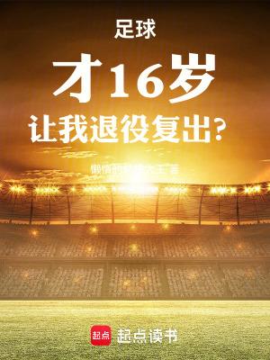 足球才16岁让我退役复出笔趣阁txt