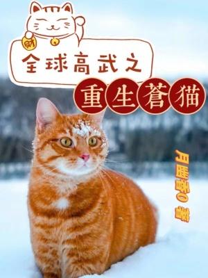 全球高武苍猫身份