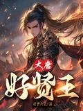 大唐好贤王全集免费