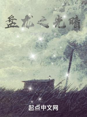 盘龙之光暗笔趣阁
