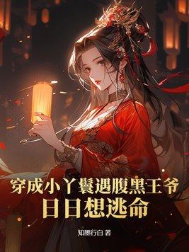 穿越成丫鬟的言情