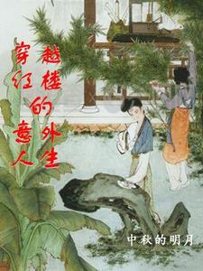 穿越红楼的