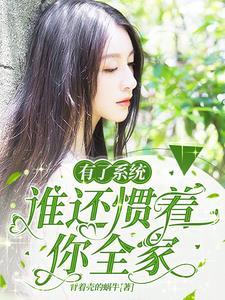 好像有个系统也是自己