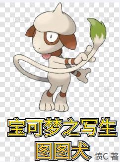 宝可梦写生怎么用