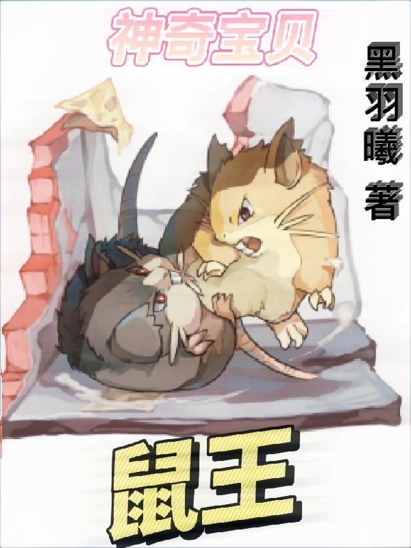 神奇宝贝的老鼠
