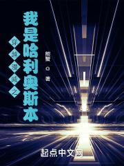 穿越哈利波特之我是哈利波特