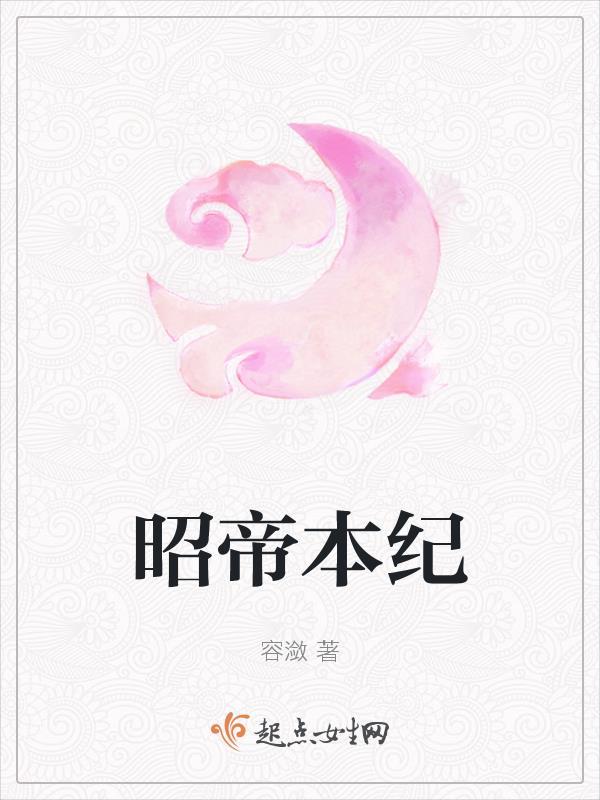 昭帝本纪怎么不写了