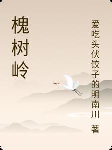 槐树岭属于哪个区