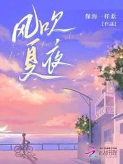夏夜吹风的句子