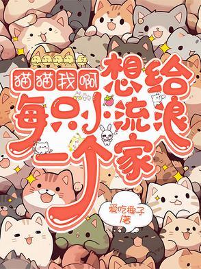 给流浪猫一个家的说说