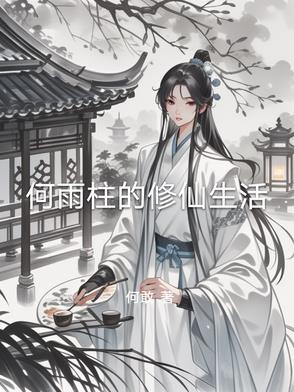 何雨柱有几间房