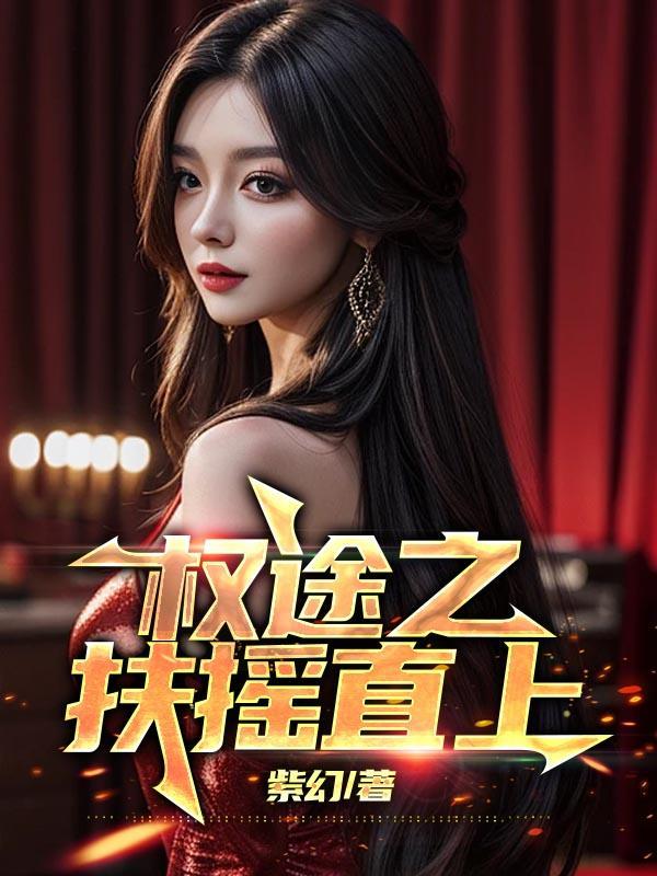 权途之扶摇直上一张晨全集