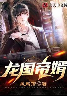 龙帝战婿