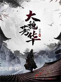 大魏芳华扫书