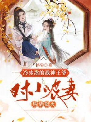 冷情王爷的小医妃