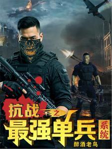 抗战之单兵突击免费阅读