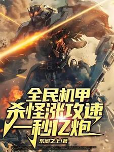 全民枪战机甲大全