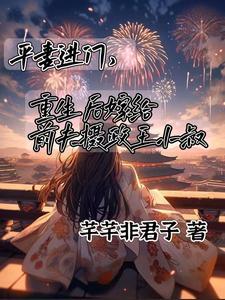 平妻进门