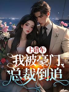 上错总裁的车