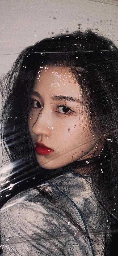 苏晨是哪部主人公