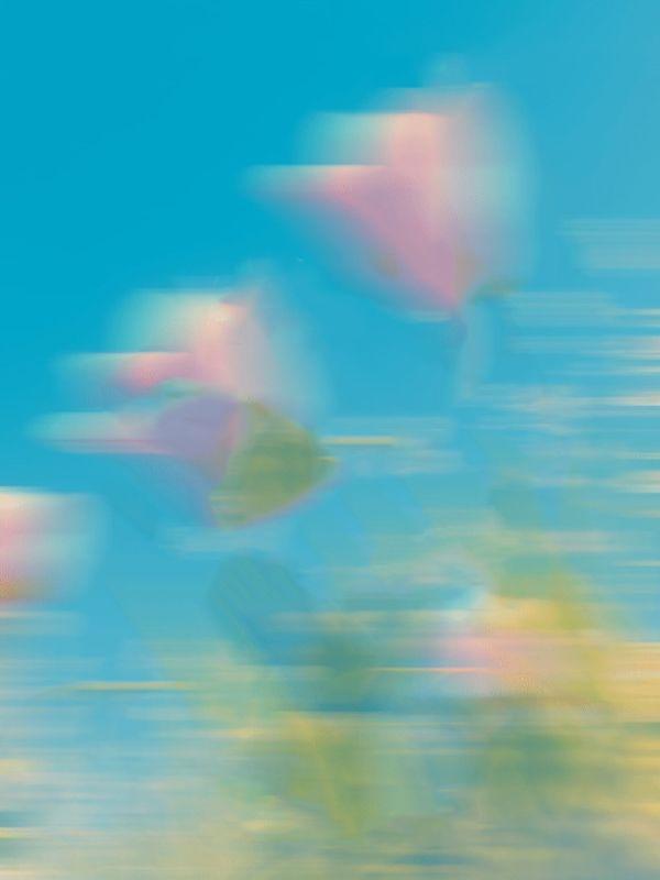 把嫁妆换成假货后婢女急疯了后续