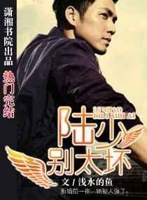 陆少别惹我