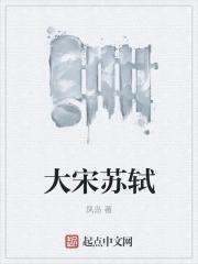 大宋苏轼晋江