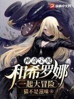 神奇宝贝希罗娜阵容