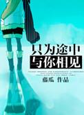 只为在途中与你相见