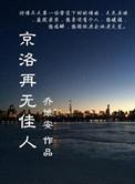 京洛再无佳人原型wjy