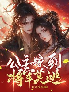 公主嫁给将军的